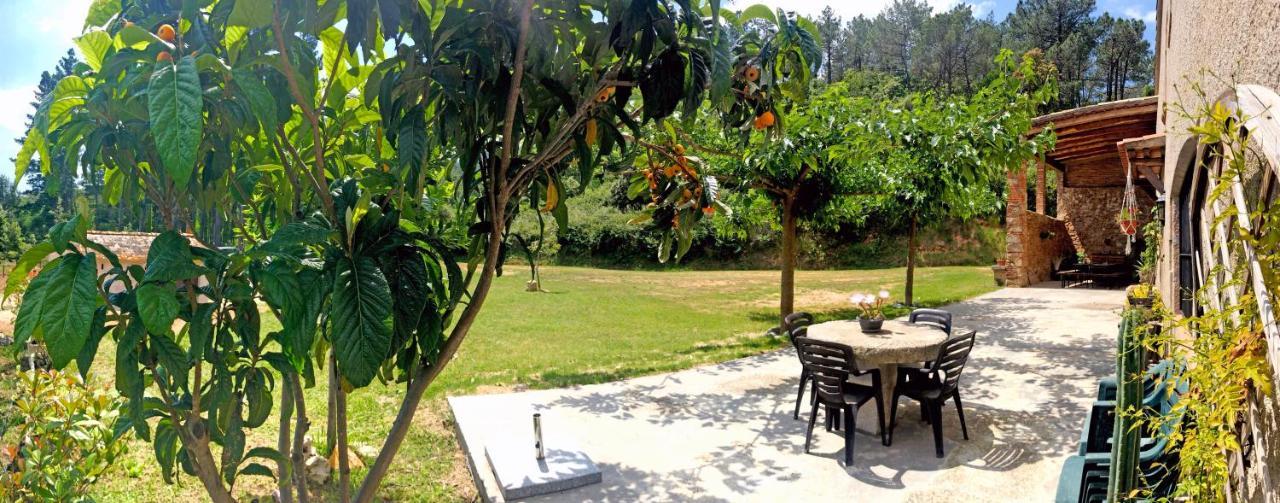 Casa Rural Can Miquel - En Pleno Bosque Y Cerca De La Playa - Increibles Rutas Btt Santa Coloma De Farners Exterior foto